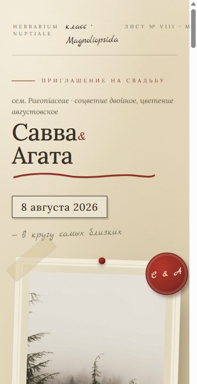 Шаблон «Гербарий»